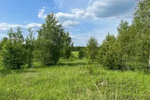 Коттеджный посёлок Кузяево Вилладж