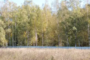 Коттеджный посёлок Клеймёново-1