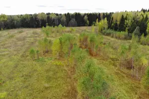 Коттеджный посёлок Настасьино Лэнд