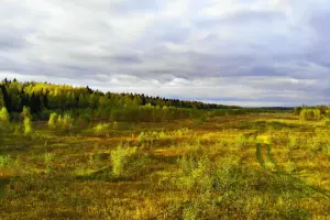 Коттеджный посёлок Настасьино Лэнд