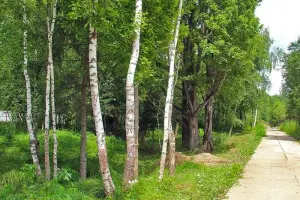 Коттеджный посёлок Приозерье