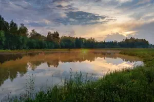 Коттеджный посёлок Ситники