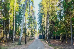 Коттеджный посёлок Лесные Зори