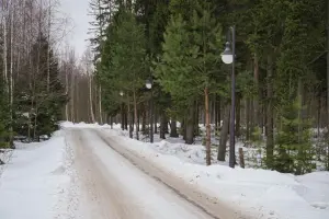 Коттеджный посёлок Лесные Зори