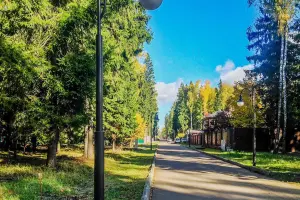 Коттеджный посёлок Лесные Зори