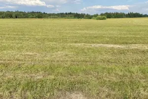 Коттеджный посёлок Рига Грин