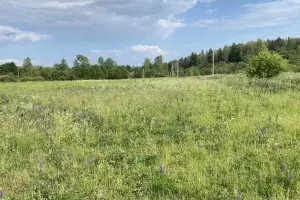 Коттеджный посёлок Рыбушки