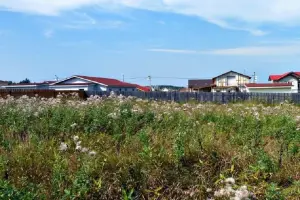 Коттеджный посёлок Алешкино-3