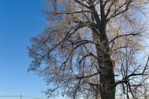 Коттеджный посёлок Каринтия