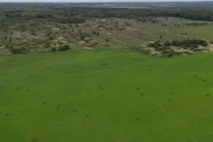 Коттеджный посёлок Усадьба в Подмосковье 2