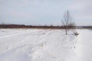 Коттеджный посёлок деревня Ябедино