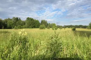 Коттеджный посёлок Шато Ришелье