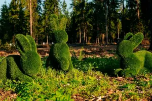 Коттеджный посёлок Ели Estate