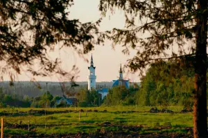 Коттеджный посёлок Ели Estate