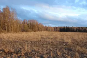 Коттеджный посёлок Загородный