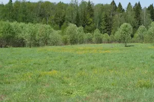 Коттеджный посёлок Лесная поляна