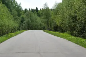 Коттеджный посёлок Лесная поляна