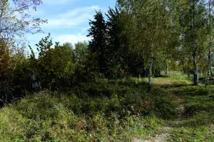 Коттеджный посёлок Опушкино Раменский