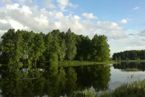 Коттеджный посёлок Раточкины пруды