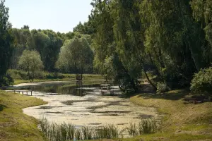 Коттеджный посёлок Вяземские сады