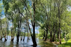 Коттеджный посёлок Лагуна-Парк