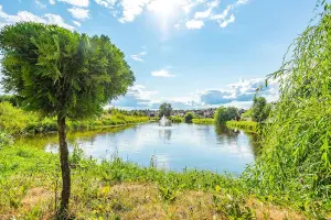 Коттеджный посёлок Перелески