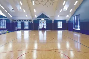 Коттеджный посёлок Agalarov Estate