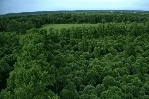 Коттеджный посёлок Новая Европа