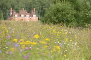 Коттеджный посёлок Лесной остров