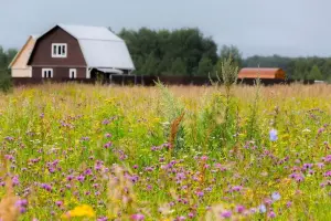 Коттеджный посёлок Лесной остров